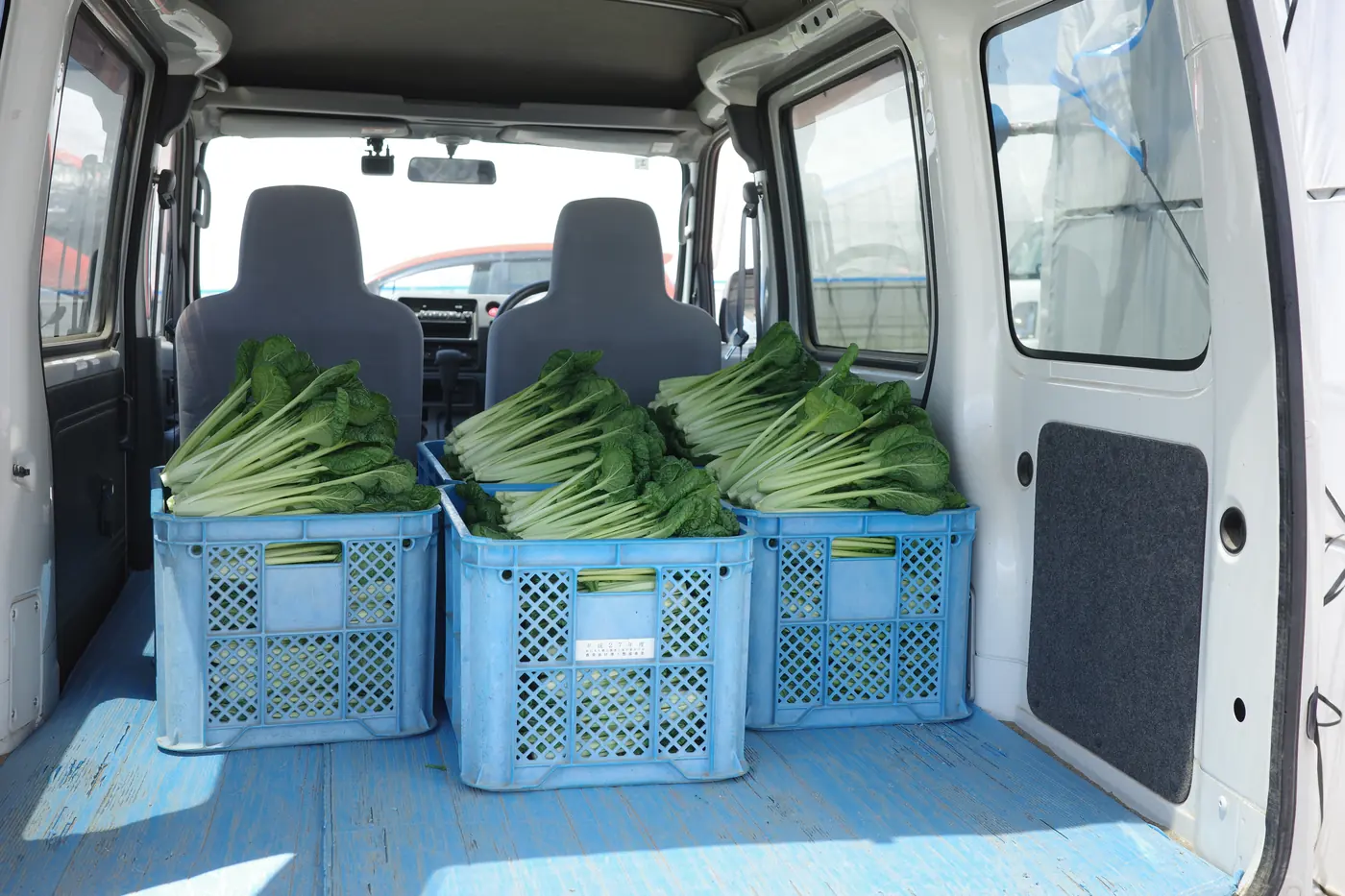 収穫した青物野菜のコンテナを積み込んだ出荷用の車