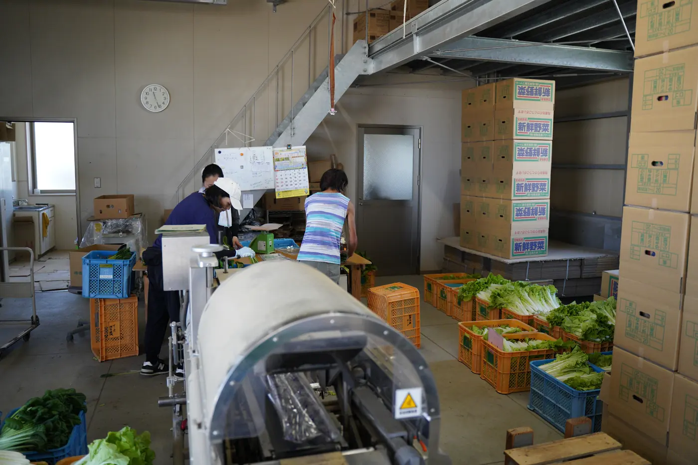 収穫した野菜の調製と箱詰めを行う作業場